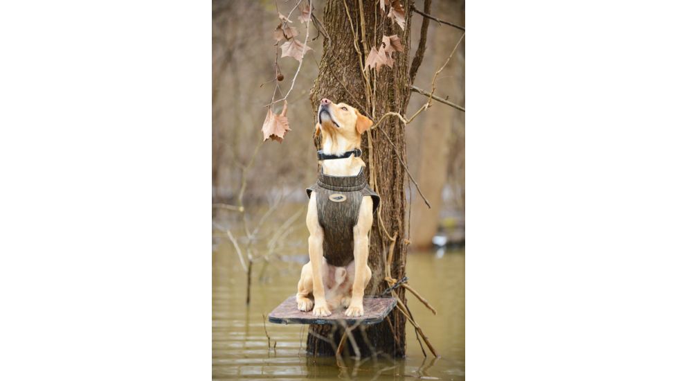 Avery Sporting Dog Boater's Dog Parka, BTML, Extra Small 03108