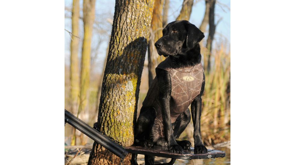 Avery Sporting Dog Boomer Stand,BuckBrush 90013