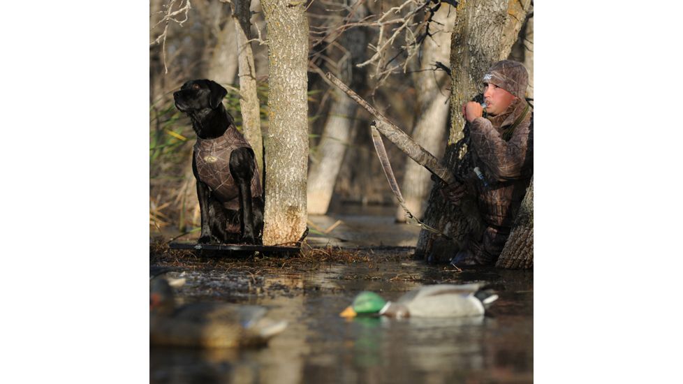 Avery Sporting Dog Boomer Stand,BuckBrush 90013