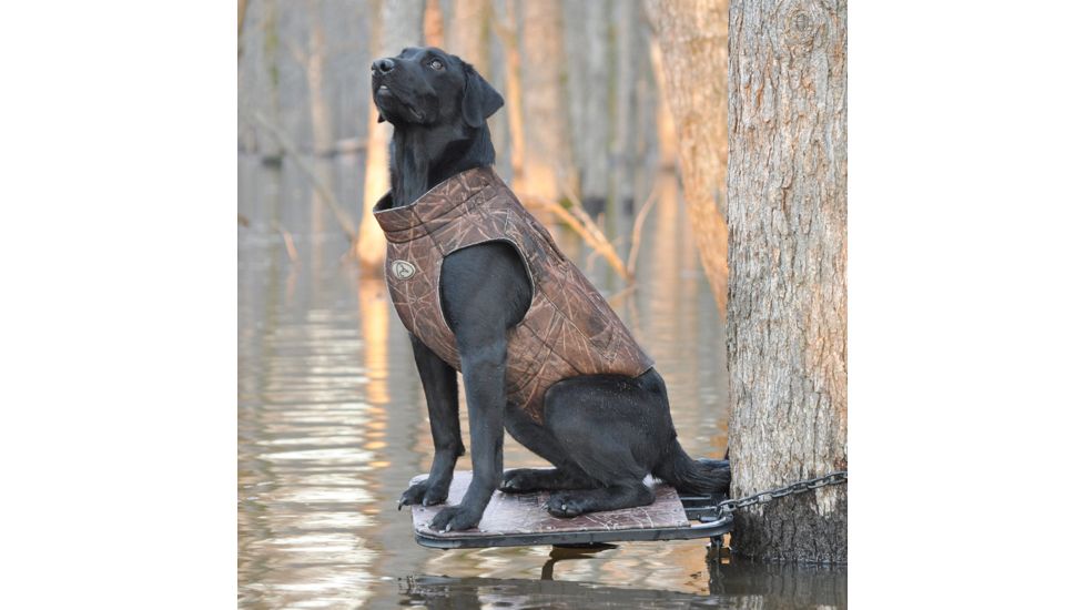 Avery Sporting Dog Boomer Stand,BuckBrush 90013