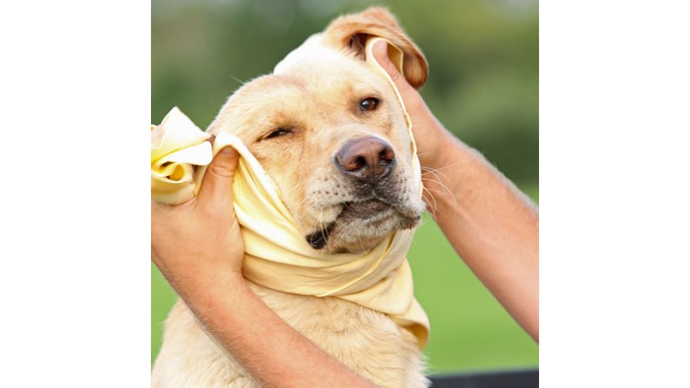 Avery Sporting Dog Dogsorber Dry Towel 2800