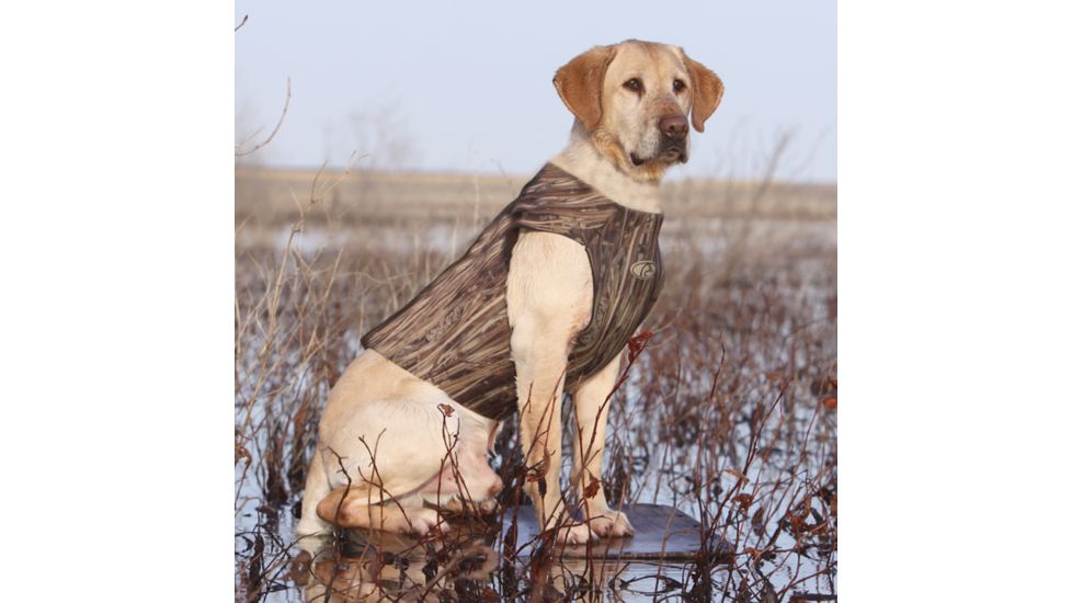 Avery Sporting Dog Jr. Ruff Stand,Marsh Grass 90018