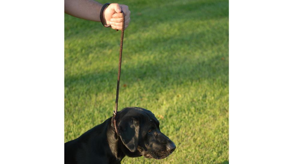 Avery Sporting Dog Leather Line Lead 2171