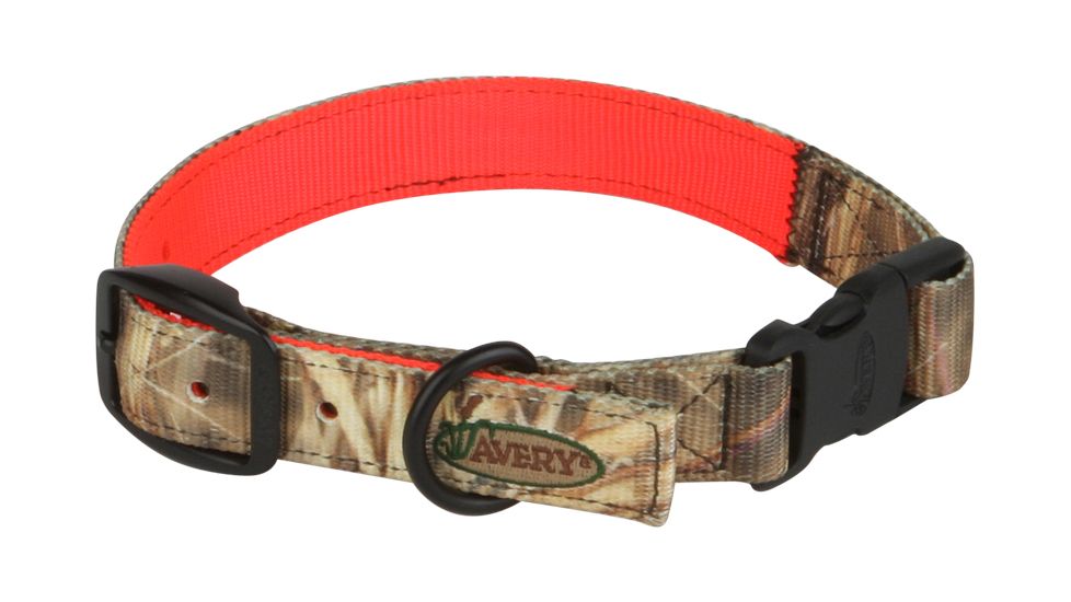 Avery Sporting Dog Reversible Collar,Small,KW-1 to Blaze Orange 1869