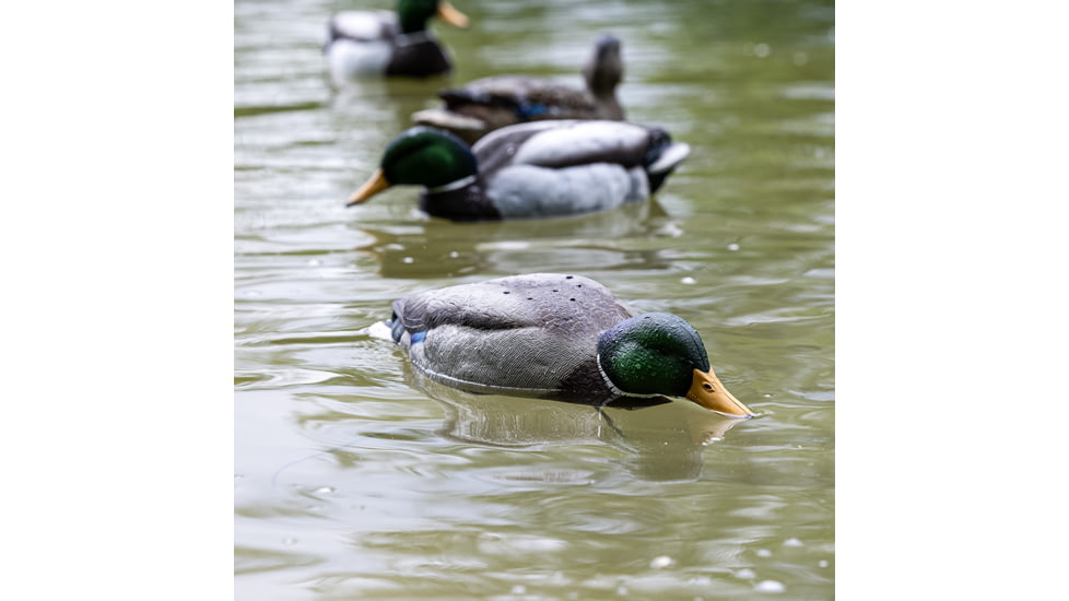 Avian X Tip Up Mallard Feeder