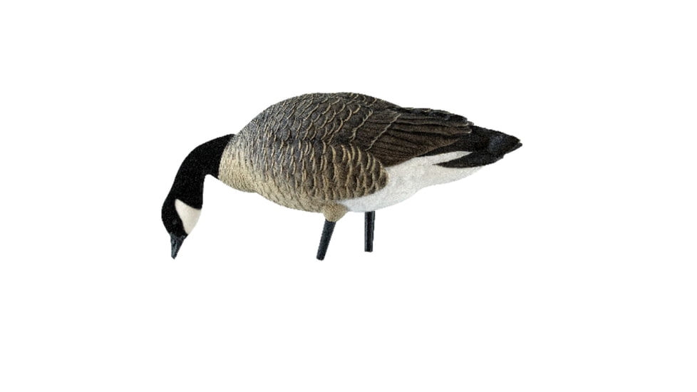 Avian X AXP Honker Sentry-Walker, Black, AVX-HONK-6PK