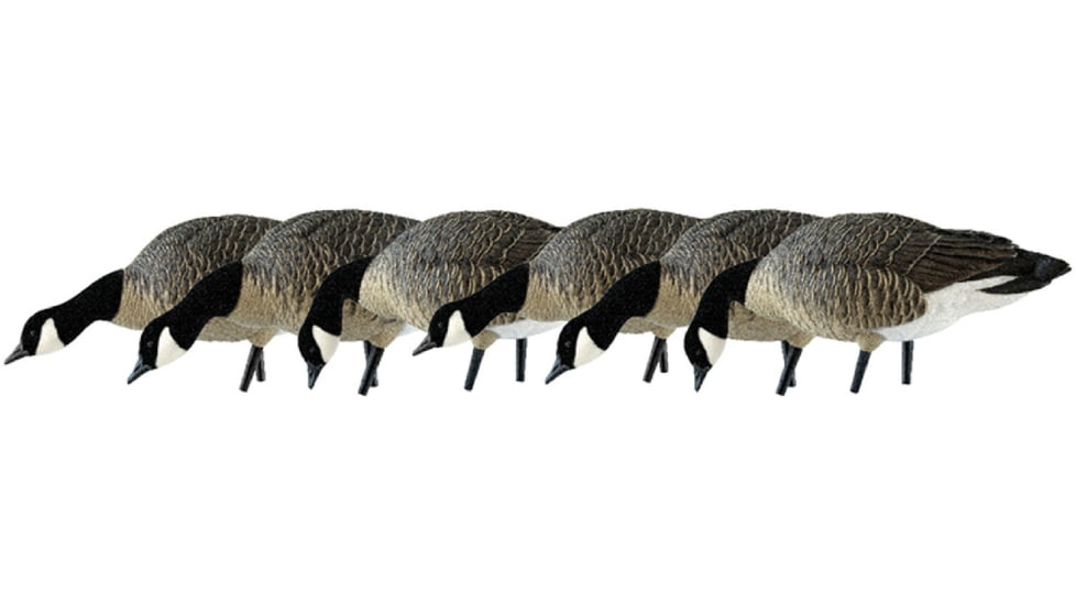 Avian X AXP Honker Sentry-Walker, Black, AVX-HONK-6PK