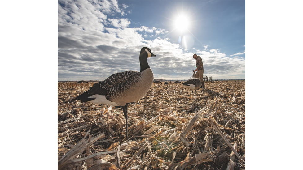 Avian X AXP Outfitter Lesser Pack w/12 Slot Bag, AVX-AVX9009