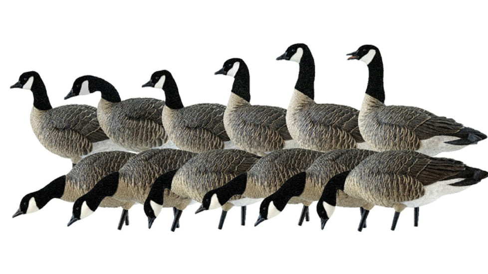 Avian X AXP Outfitter Lesser Pack w/12 Slot Bag, AVX-AVX9009