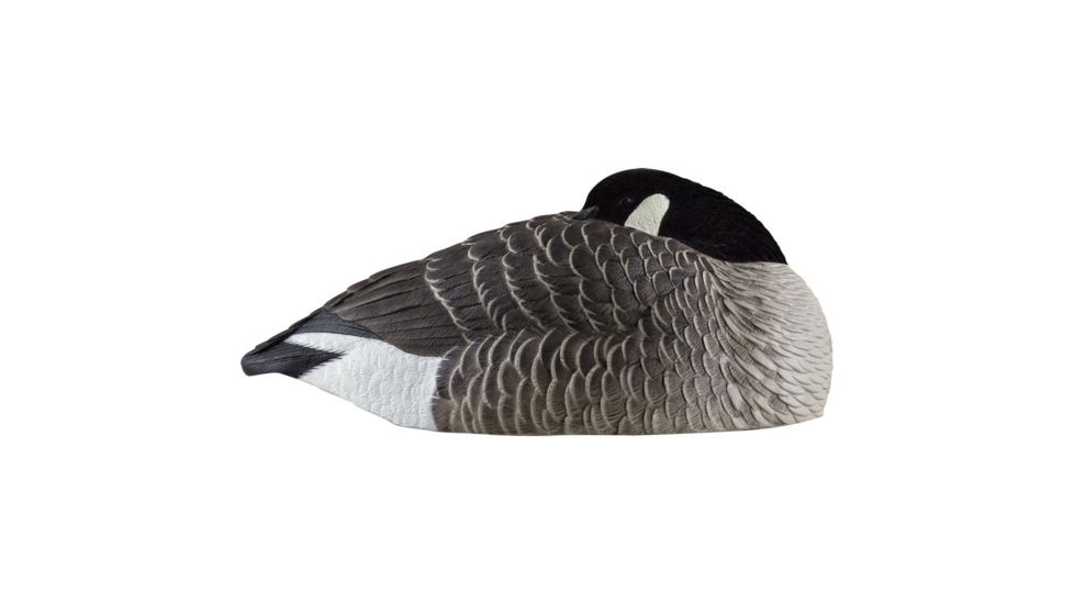 Avian X Canada Sleeper Shells, Black, Pack of 6, 9011