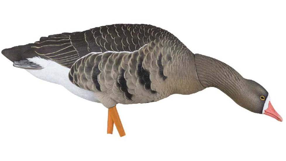 Avian X Fusion Pack AXF Specklebelly Decoy, AVX-AVX9019
