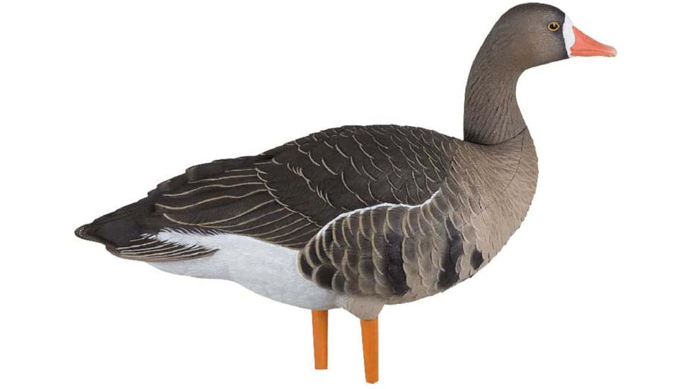 Avian X Fusion Pack AXF Specklebelly Decoy, AVX-AVX9019