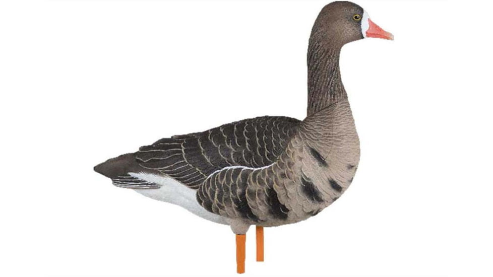 Avian X Fusion Pack AXF Specklebelly Decoy, AVX-AVX9019
