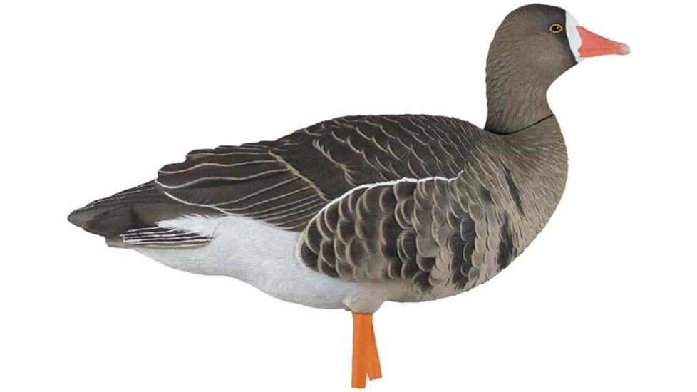 Avian X Fusion Pack AXF Specklebelly Decoy, AVX-AVX9019