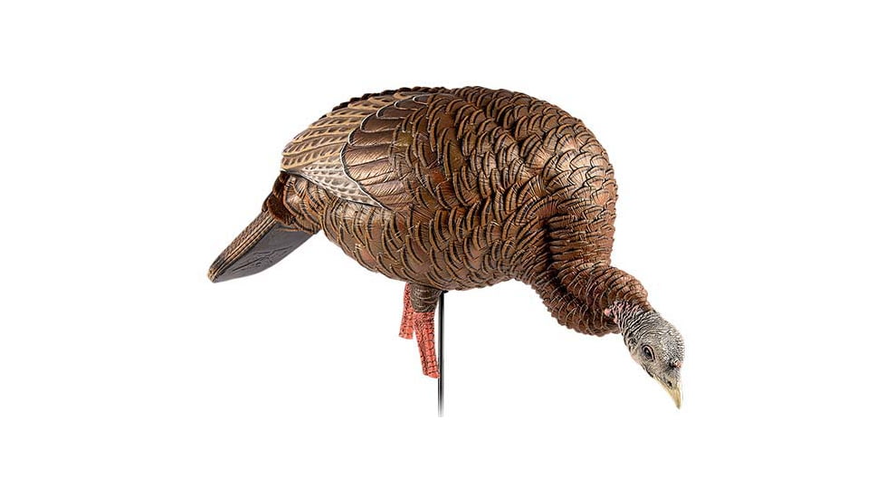 Avian X HDR Feeding Hen Decoy, Synthetic, AVXAVX8107