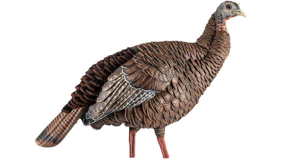 Avian X HDR Hen Decoy, Synthetic, AVXAVX8106
