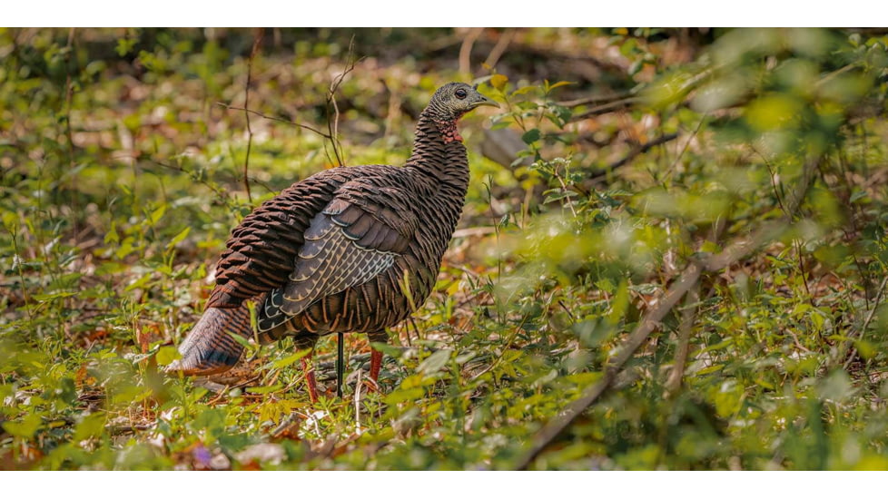 Avian X HDR Hen Decoy, Synthetic, AVXAVX8106