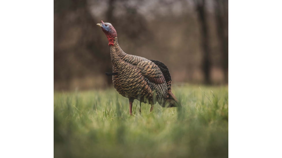 Avian X HDR Jake Decoy, Black, AVX-AVX8105