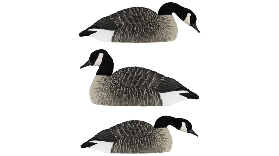 Avian X Honker Shell Decoys, Black, Pack of 6, 9010