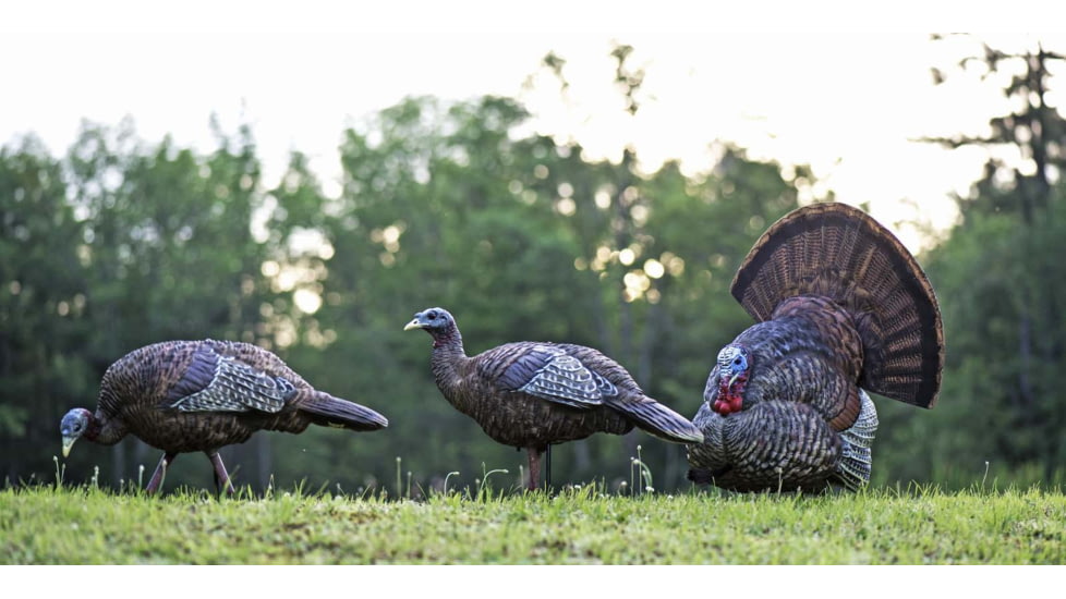 Avian X LCD Strutter Decoy, Synthetic, AVXAVX8004
