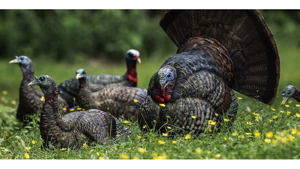 Avian X LCD Strutter Decoy, Synthetic, AVXAVX8004
