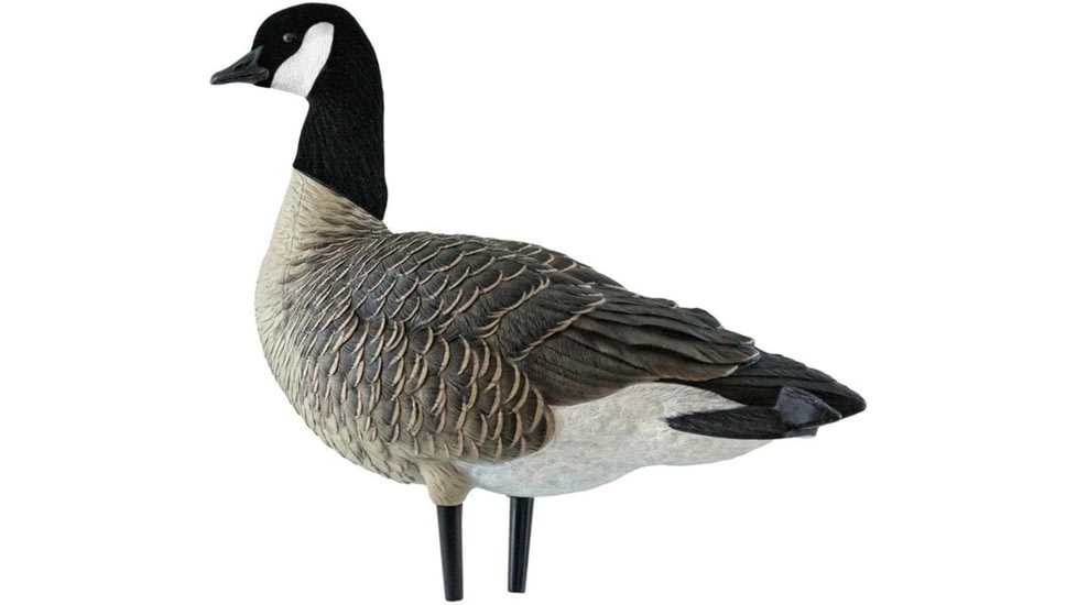 Avian X Outfitter Pack AXF Lessers Decoy, AVX-AVX9033