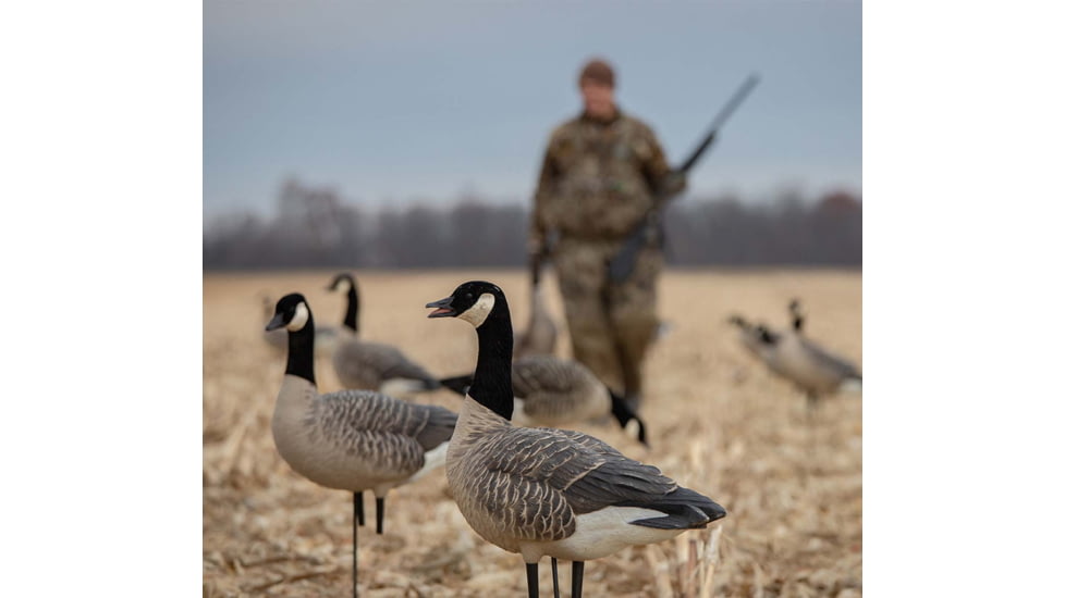 Avian X Outfitter Pack AXF Lessers Decoy, AVX-AVX9033