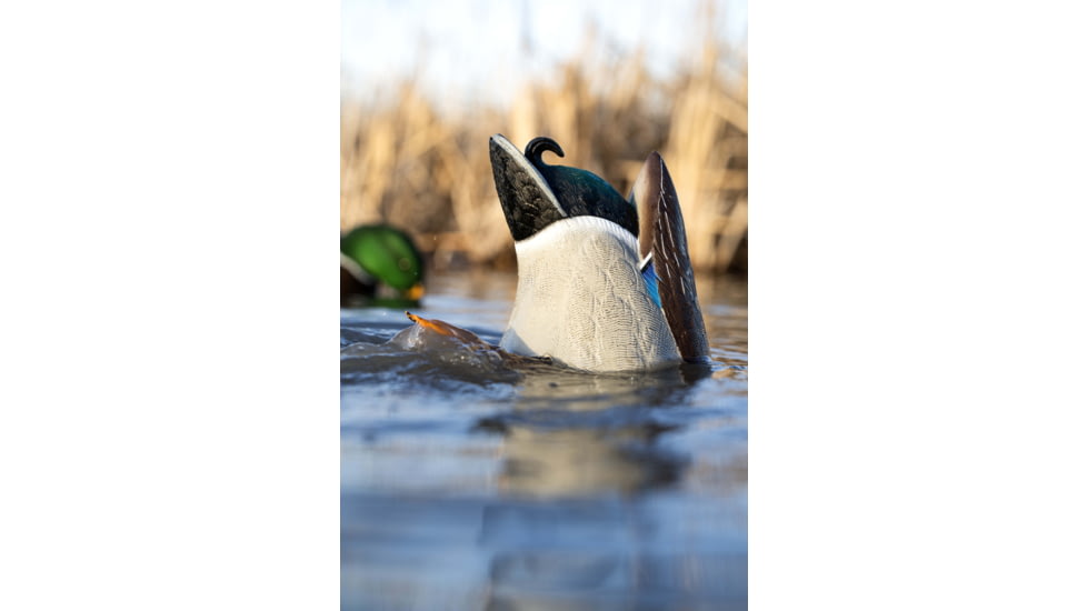 Avian X Power Butt Kicker Duck Decoy