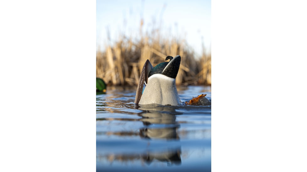 Avian X Power Butt Kicker Duck Decoy Drake Mallard, Brown, AVX-PBKD
