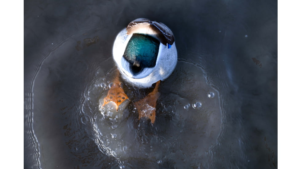 Avian X Power Butt Kicker Duck Decoy