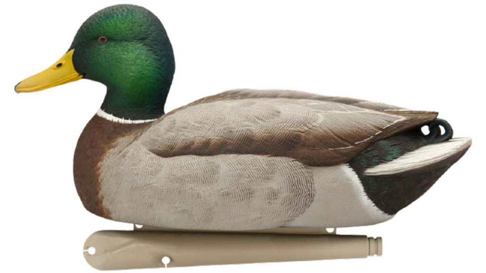 Avian X Power Swimmer Mallard Drake Decoy, Synthetic, AVXPSWMDSW