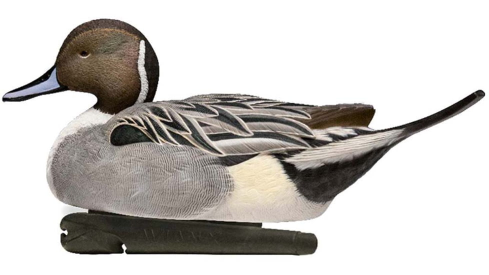 Avian X Power Swimmer Pintail Drake Decoy, Synthetic, AVXPSWPNSW