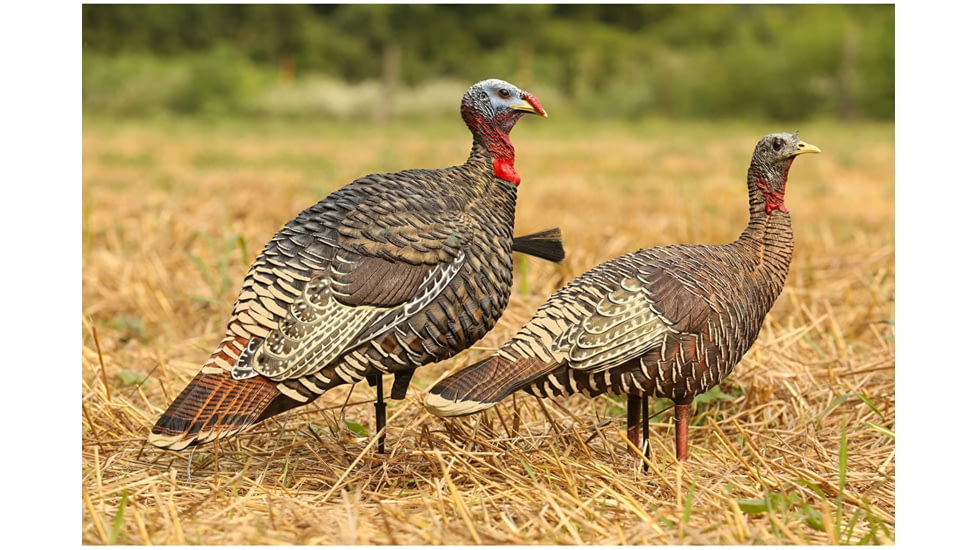 Avian X Rio Lookout Jake/Hen Combo Decoy, AVX-AVX8010