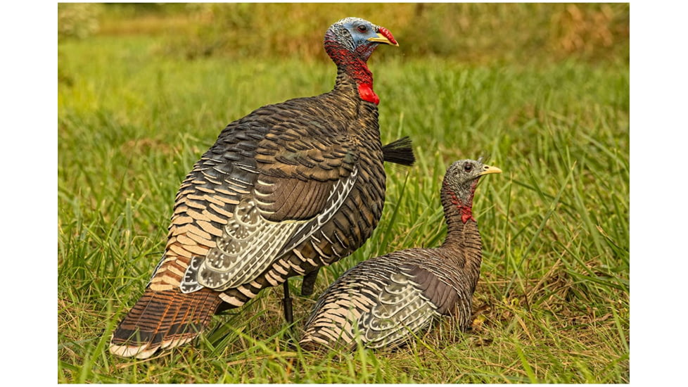 Avian X Rio Lookout Jake/Hen Combo Decoy, AVX-AVX8010
