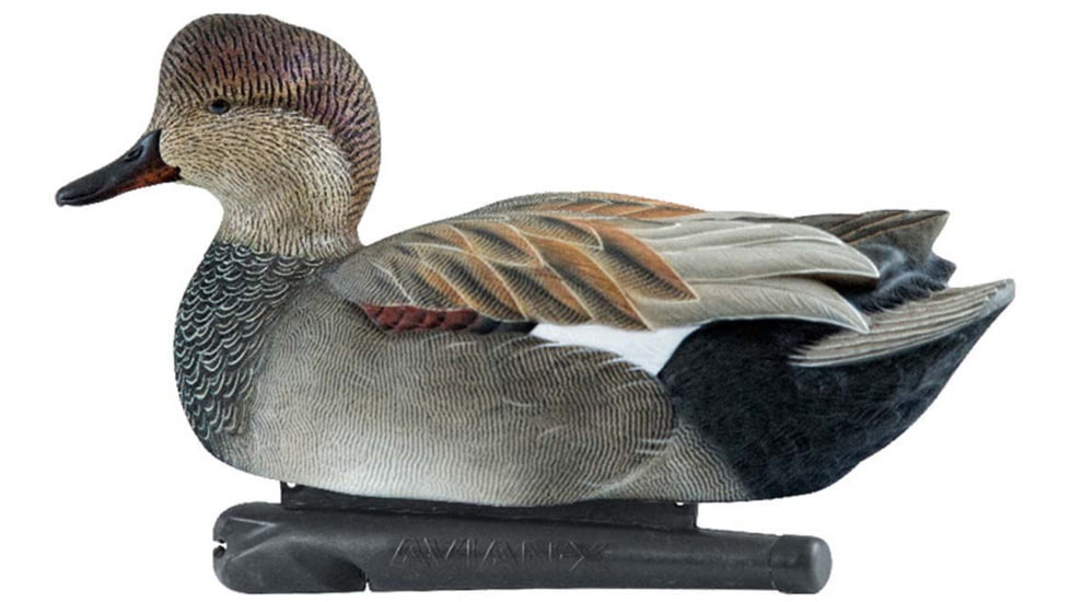 Avian X Topflight Gadwall Decoy, AVX-AVX8085