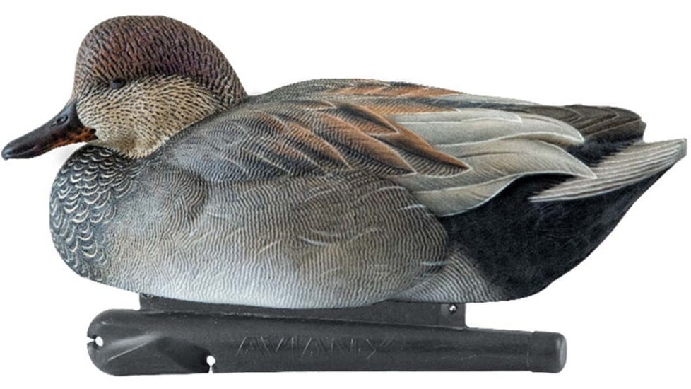 Avian X Topflight Gadwall Decoy, AVX-AVX8085