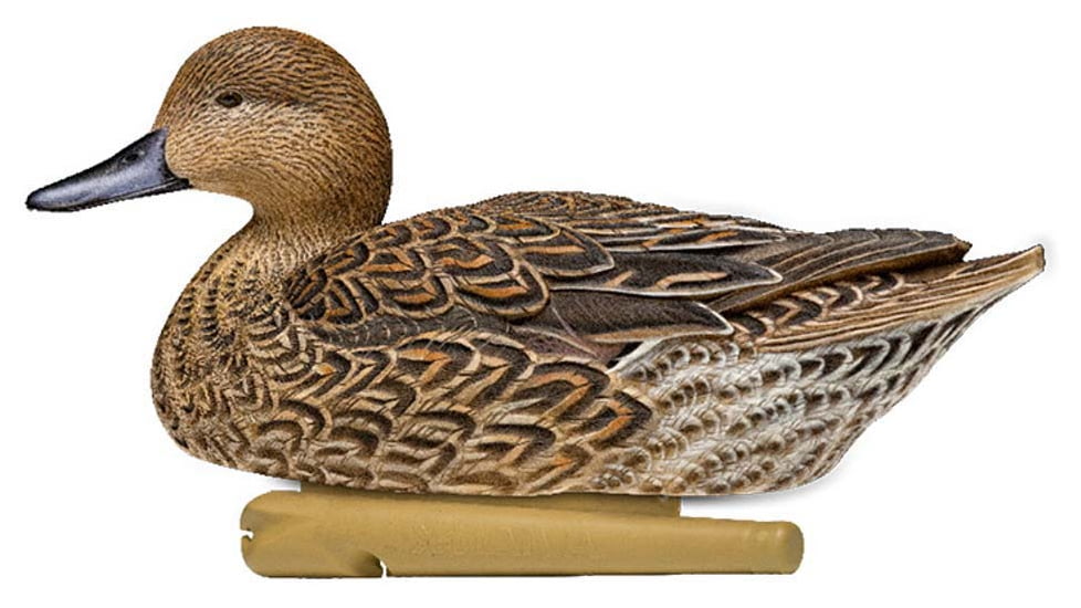Avian X Topflight Pintails Decoy, AVX-AVX8082
