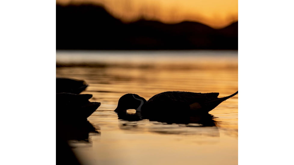 Avian X Topflight Pintails Decoy, AVX-AVX8082