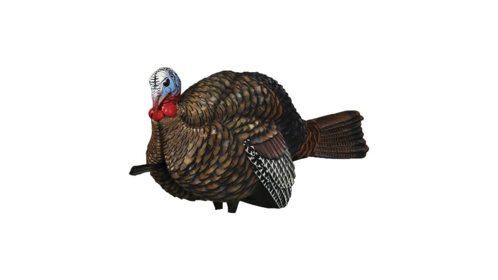 Avian X Turkey Decoy 1/2 Strut Jake, Black, FG-DCOY-68012