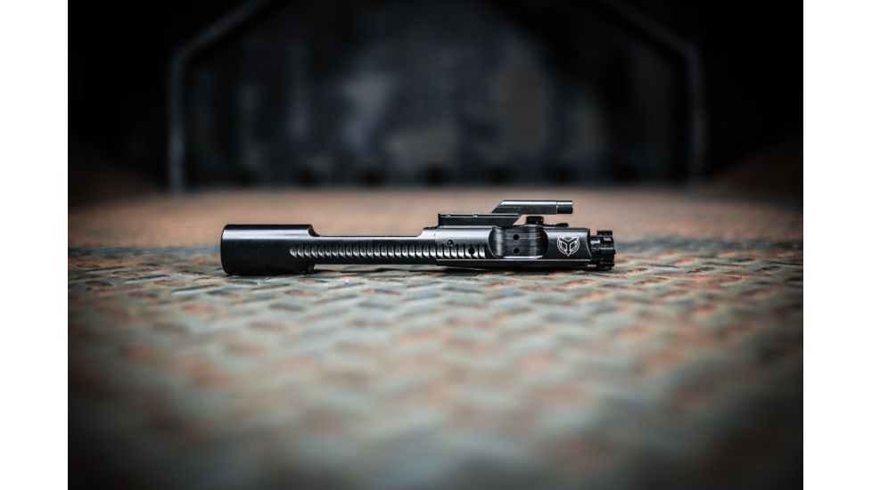 AXTS Bolt Carrier Group for AR-15