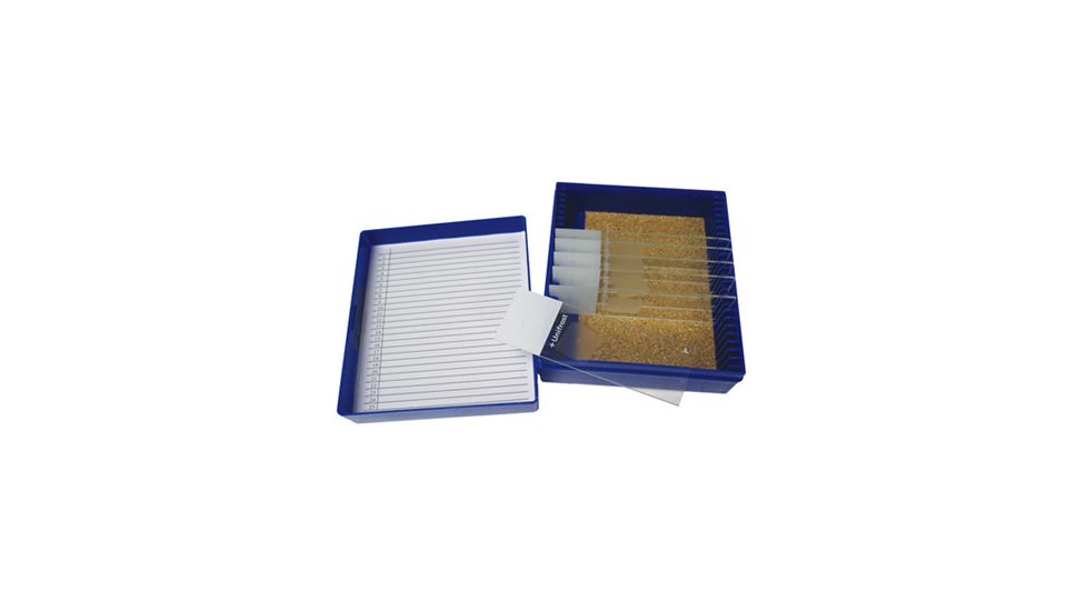 Azer Scientific Control SLIDE, Alcian Blue ESCS-104