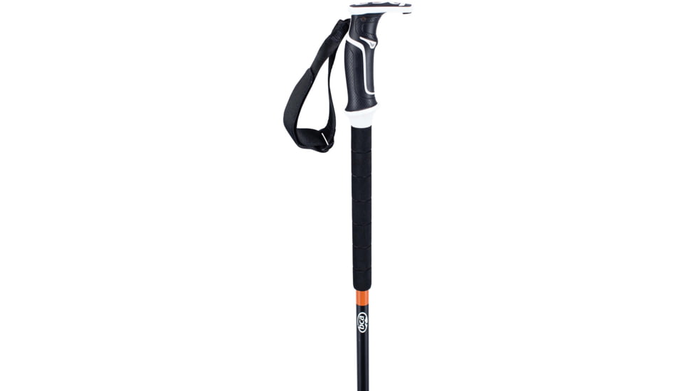 Backcountry Access Scepter 135 Pole, Raw, C200501001135