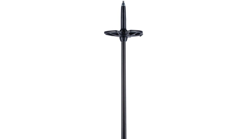 Backcountry Access Scepter 135 Pole, Raw, C200501001135