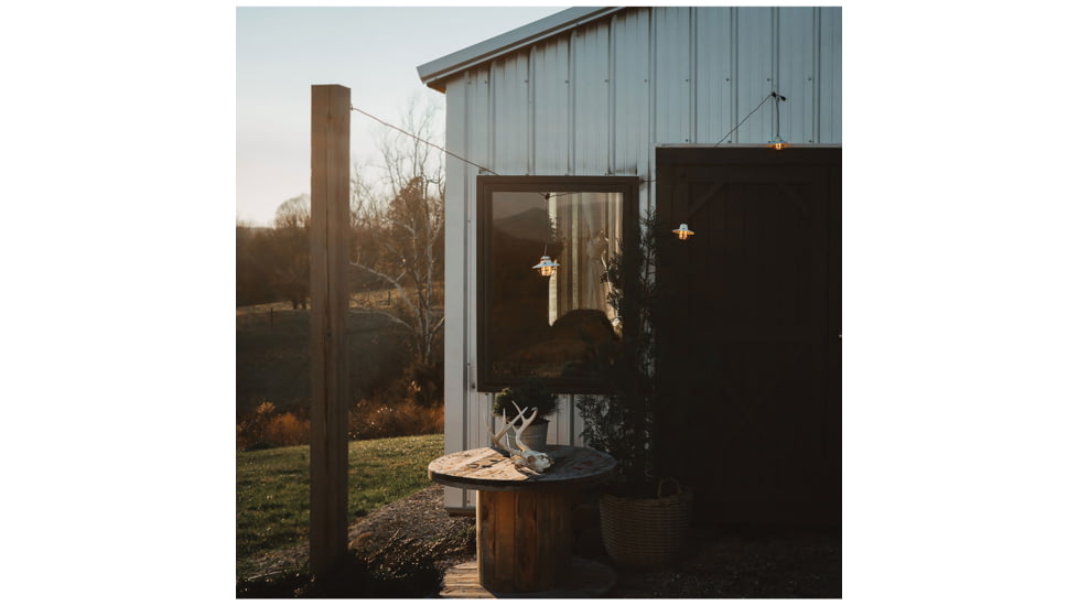 Barebones Edison String Lights