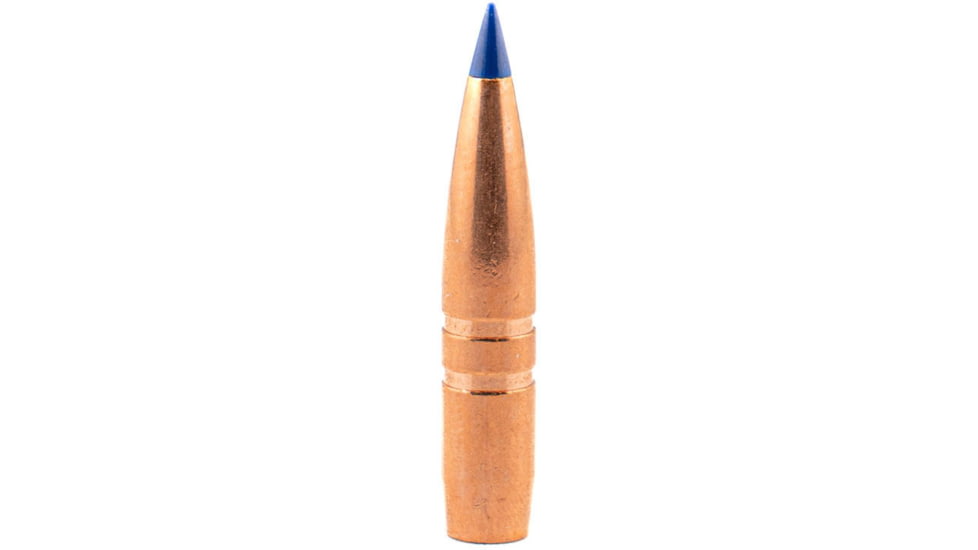 Barnes .25 Caliber Rifle Bullets, 117 grain, LRX Boat Tail