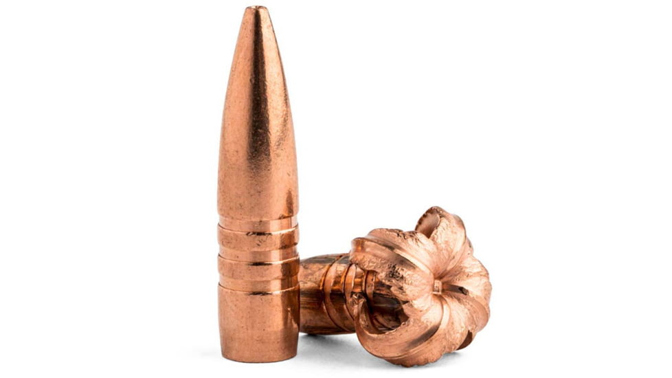 Barnes Barnes TSX .350 Legend 170 Grain TSX FN FB Pistol Ammo, 50 Rounds, 32078-50RD