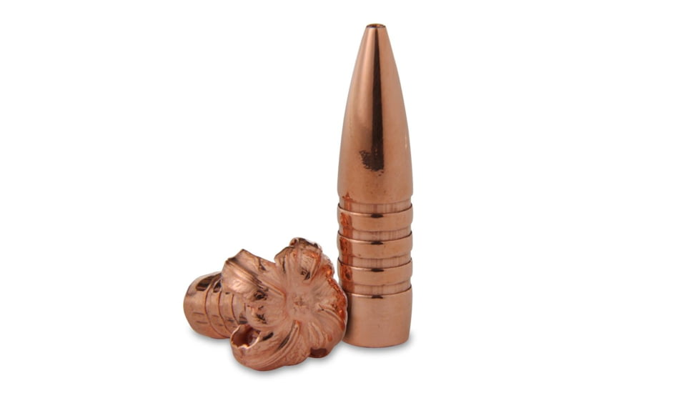 Barnes Bullets Barnes TSX Bullets .458 cal .458" 300 gr FB 20/ct, CSBX30615