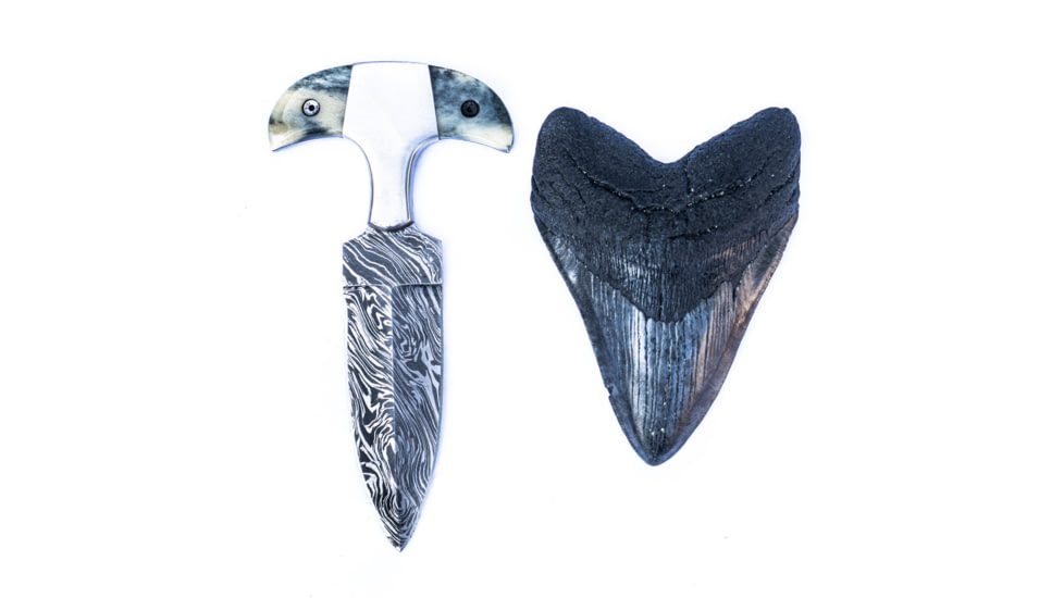 Battling Blades Shark Tooth High Carbon Damascus Bone Handle - Knife, 5759035474082