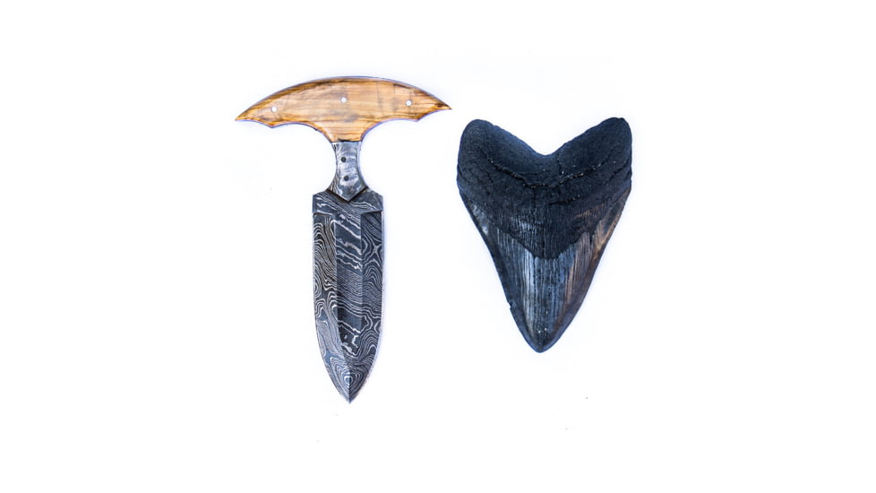 Battling Blades Shark Tooth High Carbon Damascus Steel Outdoors Blade Knife, 14in, 5758996578466