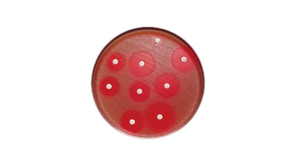 BD Minocycline PK-10CART 30MCG 231251